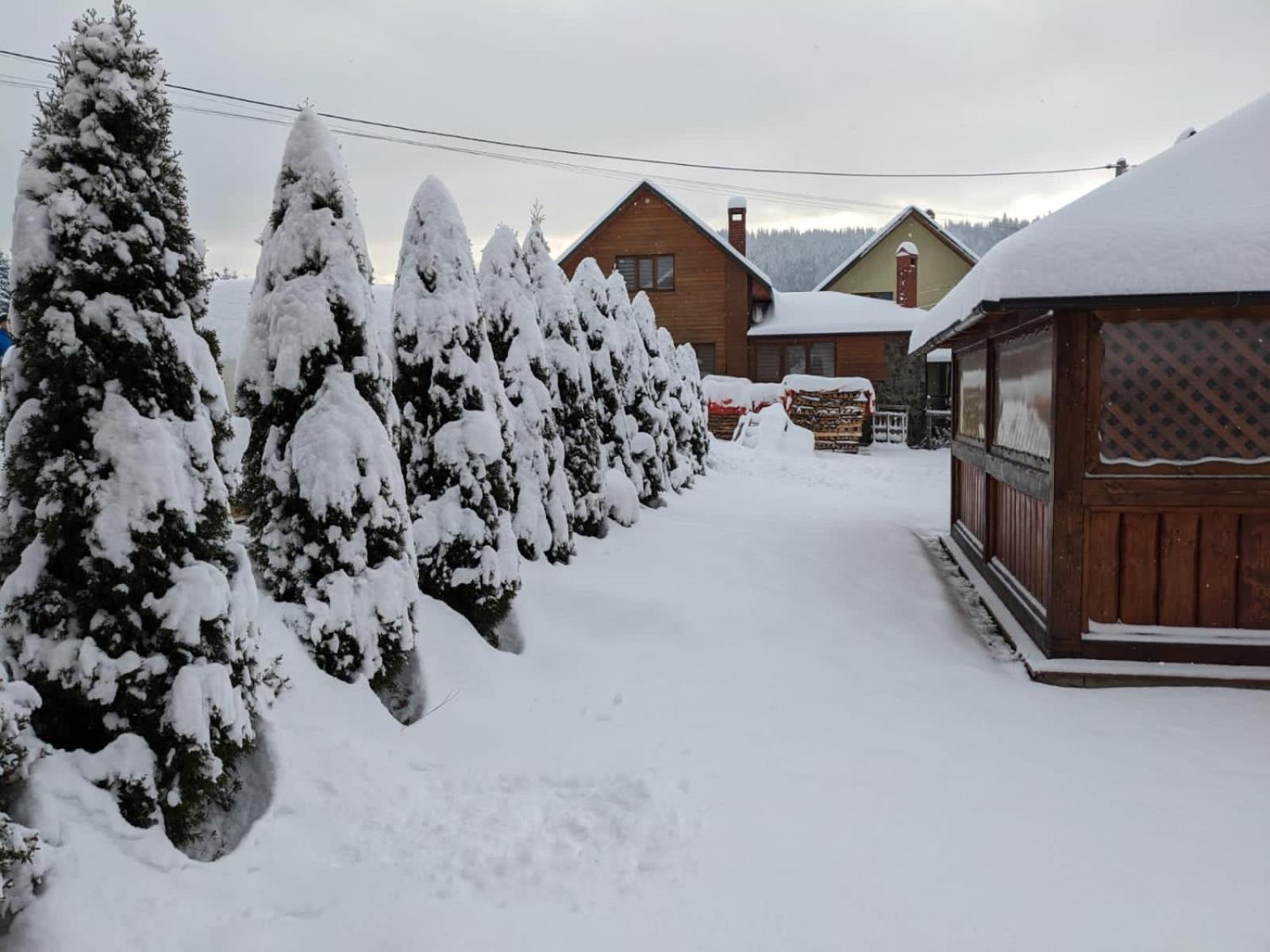 Aura Karpat Hotel บูโคเวล ภายนอก รูปภาพ